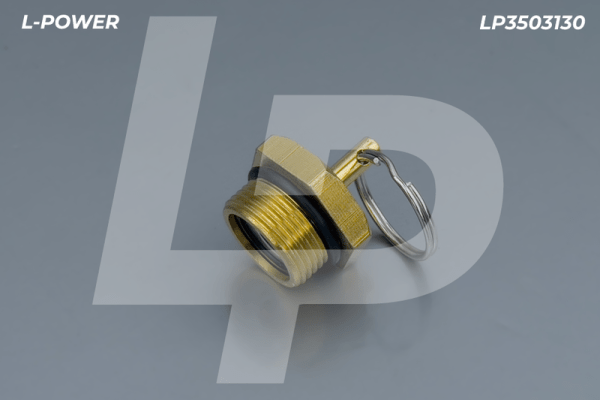 100-3513110, 105.069.03.000 Клапан слива конденсата, М22*1,5 LP3503130 L-POWER LP3503130