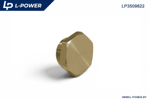 8930220094 Заглушка М22х1,5 L-POWER LP3509822